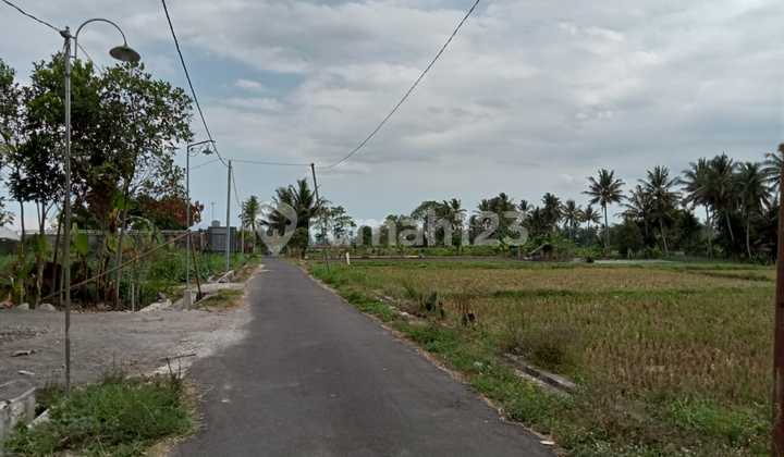 Tanah Pekarangan Timur Kopi Klotok Jakal Cocok untuk Usaha, Villa