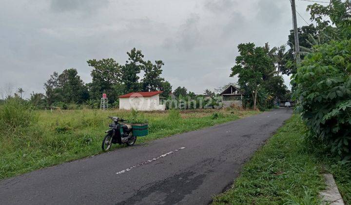 Tanah 2 Jutaan Pingir Jalan Timur Pasar Gentan Dekat SD Model 2