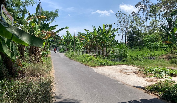 Murah Banget Tanah Lingkungan Kost di Jalan Tajem Maguwoharjo Murah Banget Tanah Lingkungan Kost di Jalan Tajem Maguwoharjo