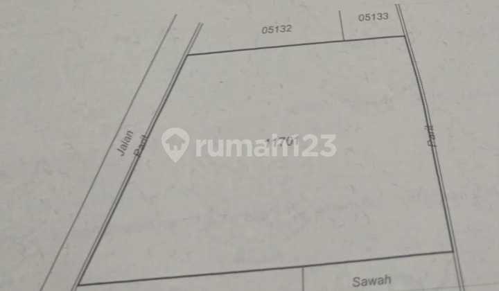 Cocok Untuk Kavling Tanah Luas Hampir 4000 meter Dekat Jogjabay Cocok Untuk Kavling Tanah Luas Hampir 4000 meter Dekat Jogjabay