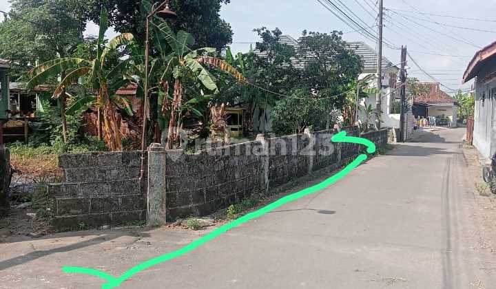 Land for Sale 2 Million in Sambiroto Near Budi Mulia Tajem School Land for Sale 2 Million in Sambiroto Near Budi Mulia Tajem School