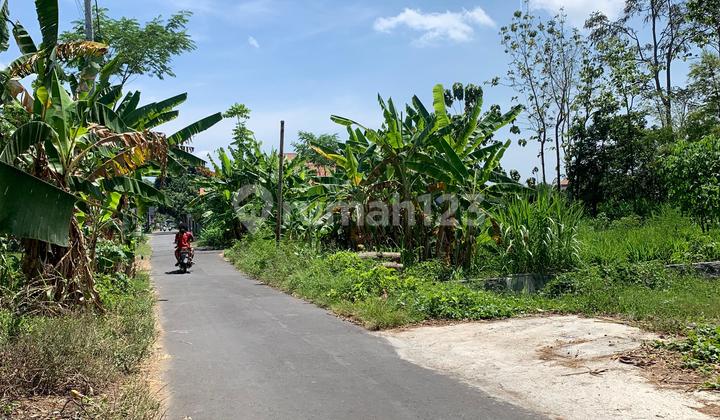 Dijual Murah Tanah Dekat Pasar Stan Timur Jalan Tajem Maguwoharjo Dijual Murah Tanah Dekat Pasar Stan Timur Jalan Tajem Maguwoharjo