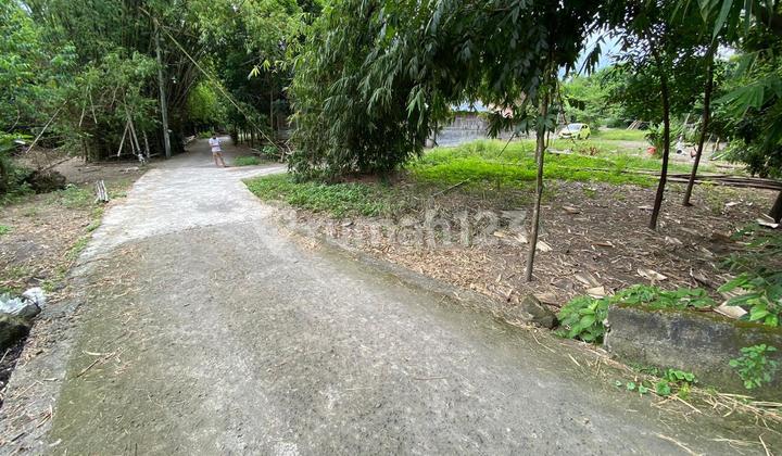 Tanah Pekarangan Murah Dekat Puskesmas Berbah Cuma 1 Jutaan