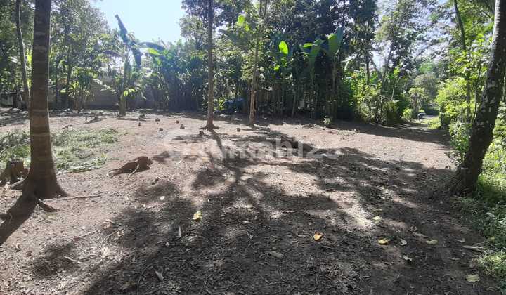 Tanah Murah di Jalan Raya Wates Dekat Rs Sedayu Cuma 900Ribuan Tanah Murah di Jalan Raya Wates Dekat Rs Sedayu Cuma 900Ribuan