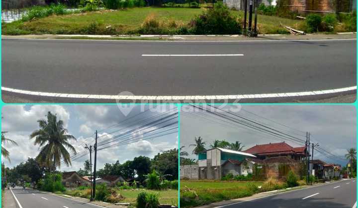 Tanah Pekarangan Luas di Jalan Pandowoharjo Dekat Sleman Hall