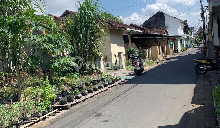 Land Price Drop in Kost Area Near Sanata Dharma University Paingan
