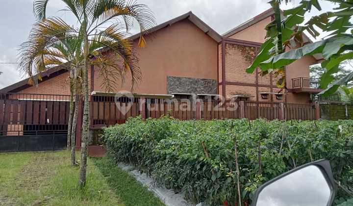 Joglo 2-Story House on Pendowo Street Near Sleman City Hall Joglo 2-Story House on Pendowo Street Near Sleman City Hall