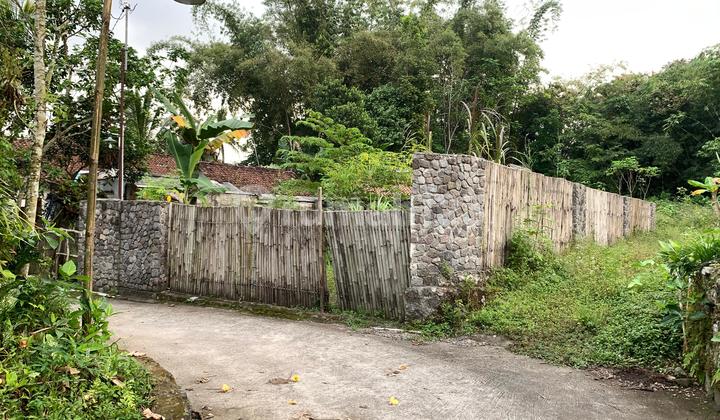 Dijual Murah Tanah Pekarangan Cocok untuk Villa di Turi Sleman Dijual Murah Tanah Pekarangan Cocok untuk Villa di Turi Sleman