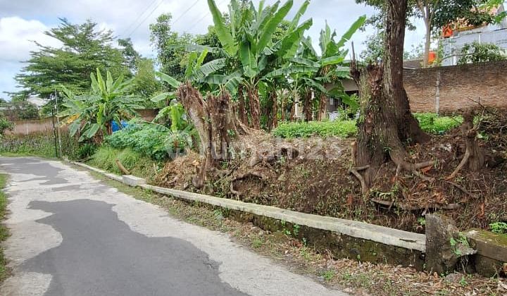 Luasan Kecil Super Premium Tanah Dijual Dekat Pasar Rejodani
