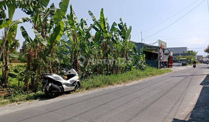 Tanah Bagus di Jalan Ringroad Utara Condongcatur Area Polda Diy 2