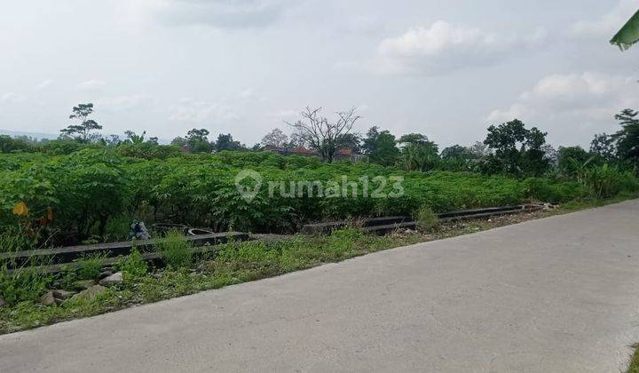 Tanah Luas Prospek Kavling Dekat Stadion Maguwoharjo Sleman 1