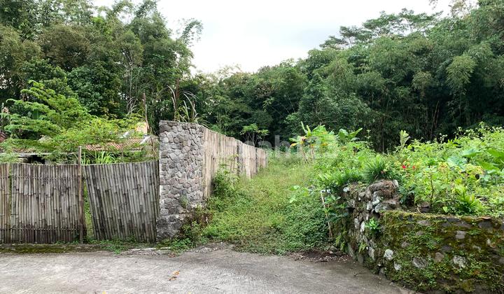 Tanah Pekarangan Murah di Area Turi Cocok untuk Villa Idaman