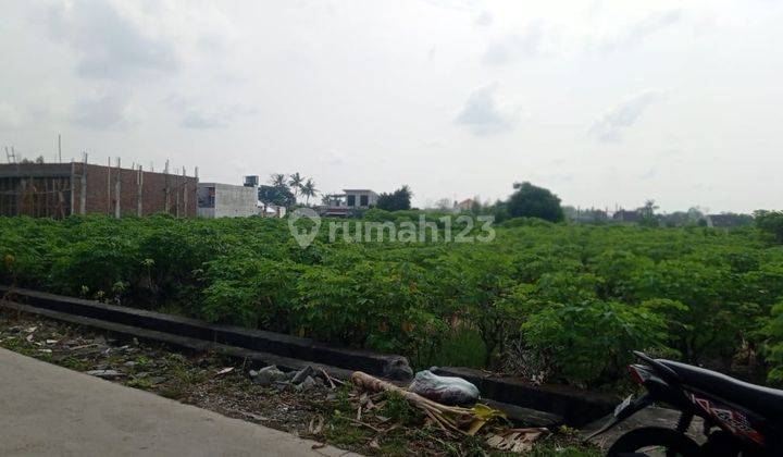 Tanah Luas Prospek Kavling Dekat Stadion Maguwoharjo Sleman 2