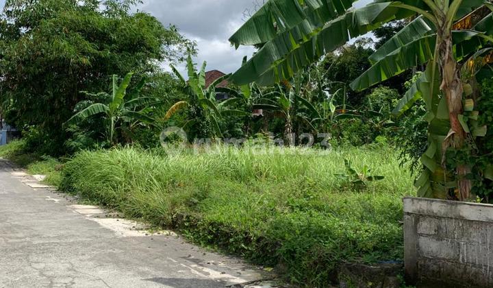 Dijual Tanah Bagus di Timur Stadion Maguwoharjo Luasan Kecil Dijual Tanah Bagus di Timur Stadion Maguwoharjo Luasan Kecil