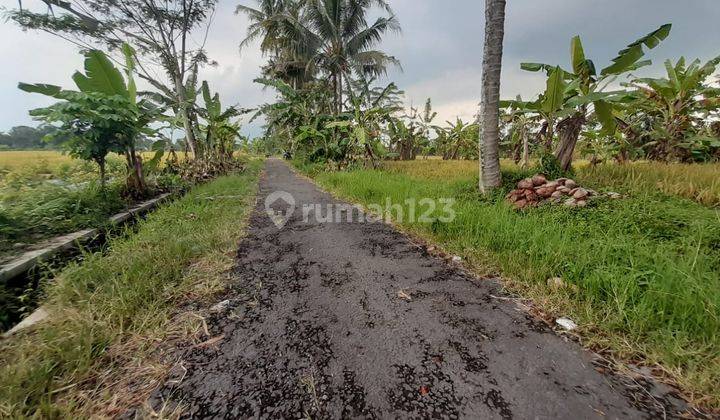 Tanah Murah Pakem Sleman SHM Hook Luas Bagus Investasi Utara Uii 2