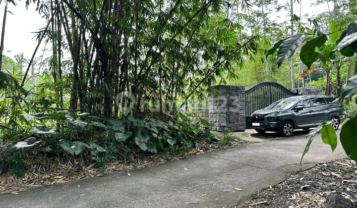 Cocok untuk Villa Dijual Tanah Luas di Jalan Boyong Kaliurang Cocok untuk Villa Dijual Tanah Luas di Jalan Boyong Kaliurang