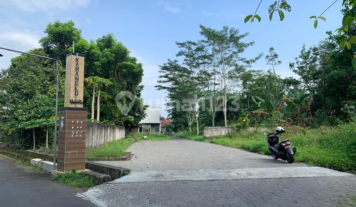 Nego Banget Tanah Dijual Dalam Cluster Dekat Sleman City Hall Nego Banget Tanah Dijual Dalam Cluster Dekat Sleman City Hall