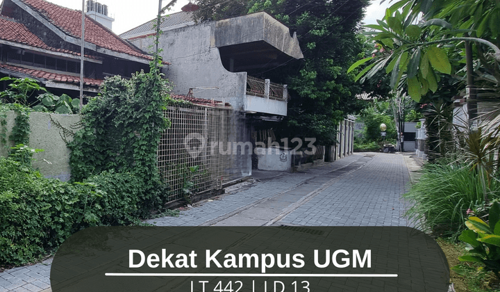 Tanah Premium Jalan Pogung Kawasan Kampus Ugm Strategis Bisnis 1