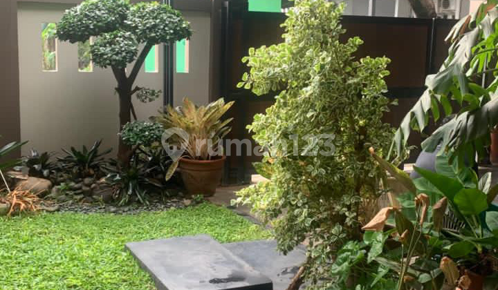 Rumah Dekat Exit Tol Joglo Jakarta Barat Luas dan Sangat Asri Rumah Dekat Exit Tol Joglo Jakarta Barat Luas dan Sangat Asri