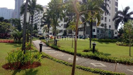 Kemang Jaya Penthouse Apartment South Jakarta Spacious and Pet Friendly 1