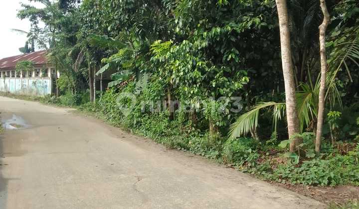 For Quick Sale Land 2862m Pamarayan Serang Banten Suitable For Housing Warehouses Factory For Quick Sale Land 2862m Pamarayan Serang Banten Suitable For Housing Warehouses Factory