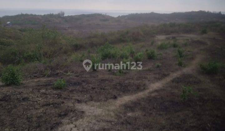 Dijual Tanah Hamparan di Pandeglang Banten 2