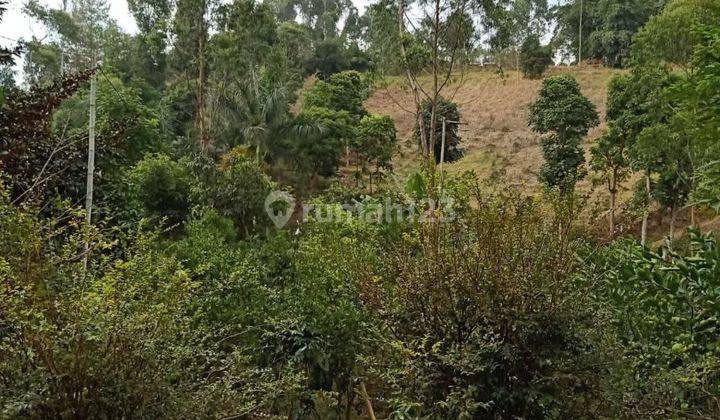 Dijual Villa Nyaman Dan Sejuk Di Lebak Muncang Ciwidey, Bandung 2