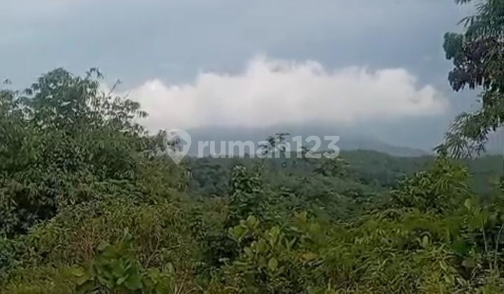 Dijual Lahan 4 Hektar Di Pegunungan Bogor Cocok Untuk Hotel Villa Dan Lainnya