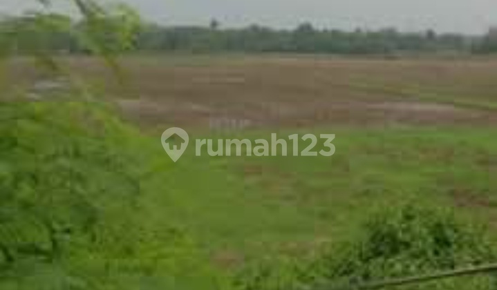 Dijual Tanah Panongan Legok Cocok untuk Gudang Dijual Tanah Panongan Legok Cocok untuk Gudang