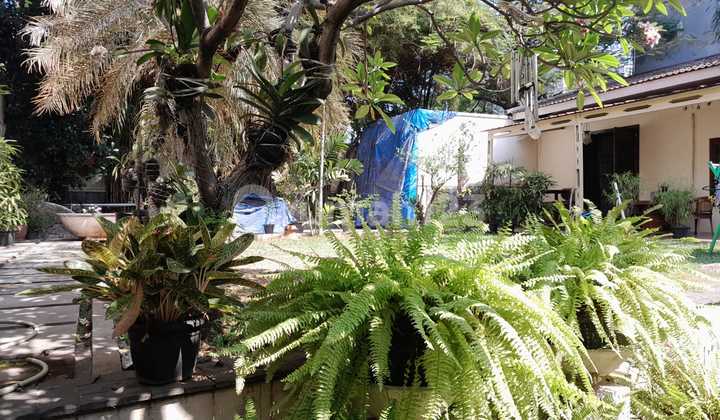 Strategic Land Saharjo Strategic Land Saharjo