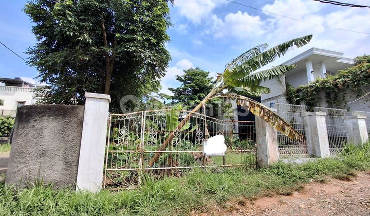 Corner Lot. Flood-Free. Ready to be Subdivided or Purchased in Full.