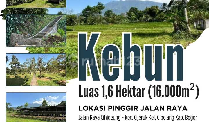 For Sale Farming Livestock Property, Area 1.6 Hectares