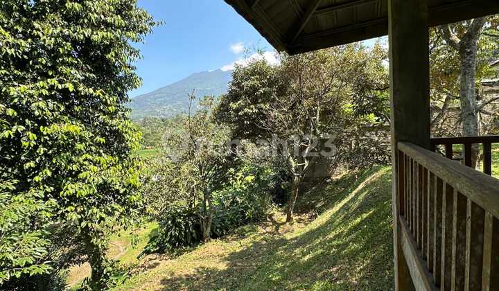 For Sale Farming Livestock Property, Area 1.6 Hectares