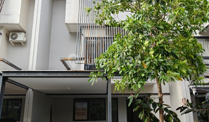 Tabebuya Impresahaus Bsd City 3 Lantai, Hadap Selatan