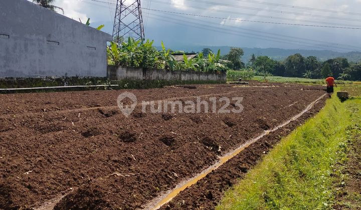 Tanah sayap Mandirancan kuningan di Mandirancan