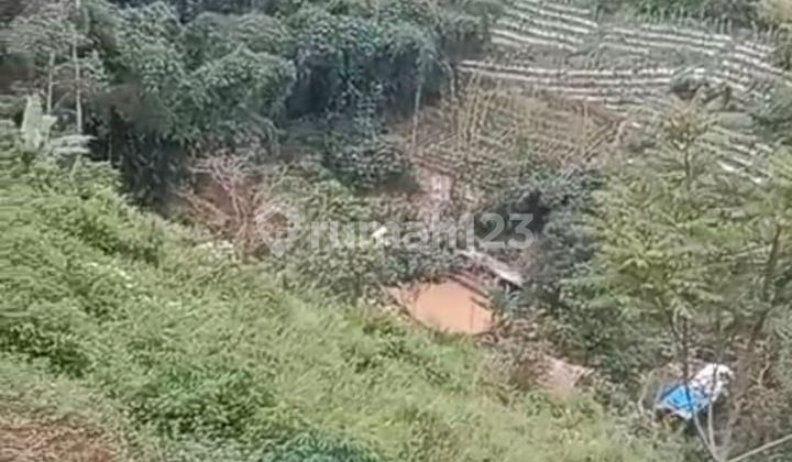 Tanah 2450 m² di Ciumbuleuit Tanah 2450 m² di Ciumbuleuit