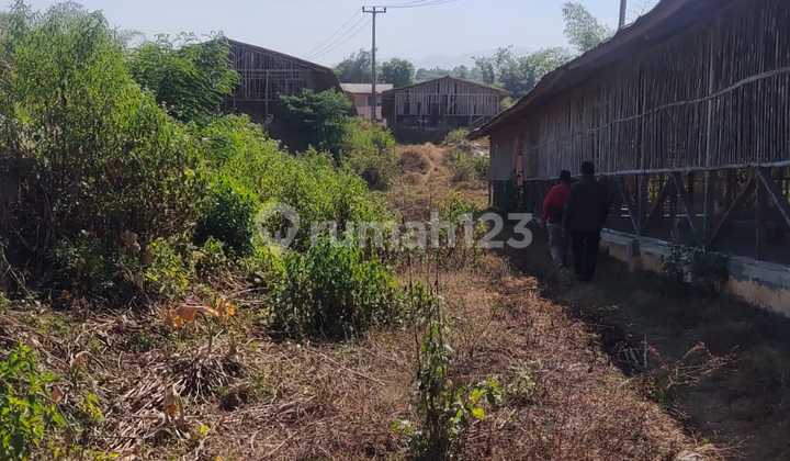 Dijual Cepat Tanah Bekas Peternakan Ayam dan Perkebunan ( Perluasan bisa Sampai 15 Ha) di Padalarang