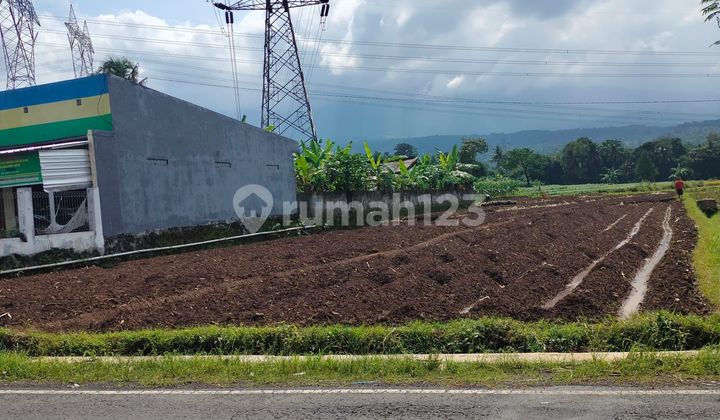 Dijual Cepaatttt!!! Tanah Di Minroad Mandirancan Kuningan Dijual Cepaatttt!!! Tanah Di Minroad Mandirancan Kuningan