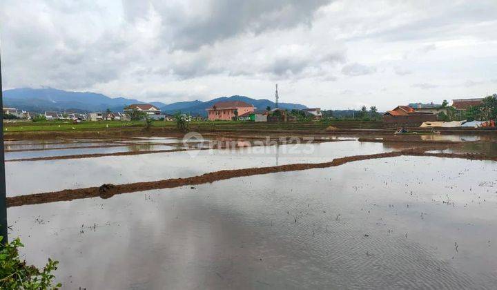 Dijual Tanah Sawah Produktif Cocok Dibuat Perumahan  1