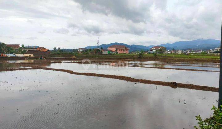 Dijual Tanah Sawah Produktif Cocok Dibuat Perumahan  2