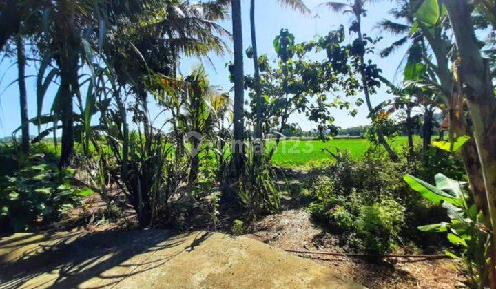 Dekat Bandara Yia Wates, Tanah Cocok Resto View Sawah 2