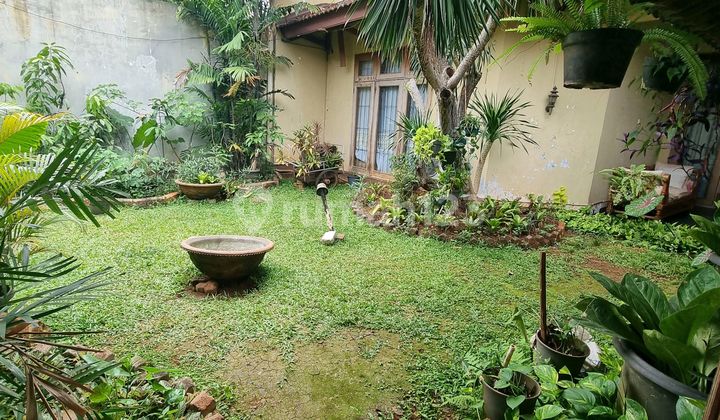 For This House Business, Entirely Available for Rent, Needs Renovation. For This House Business, Entirely Available for Rent, Needs Renovation.