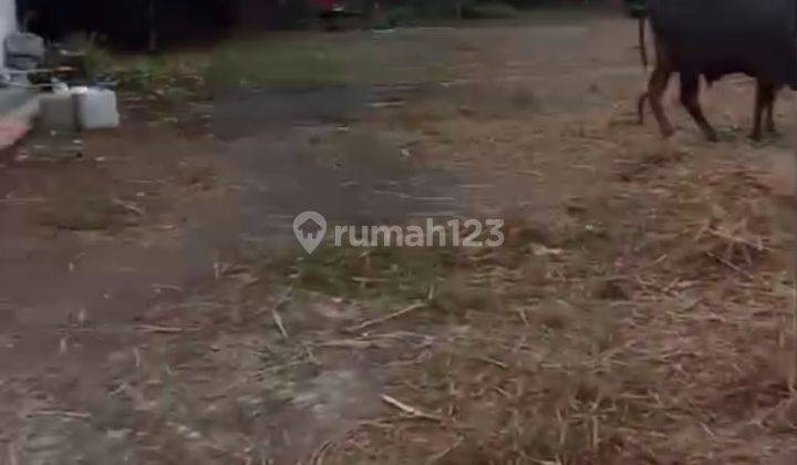 Tanah 2000m2 Jl Cisauk Dekat Stasiun Cicayur Dan Aeon Mall Bsd 1
