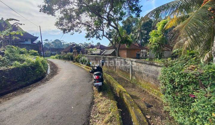 BUC, Tanah murah Di Bakbakan Gianyar. 9.3 Are , per are hanya 130jt 1