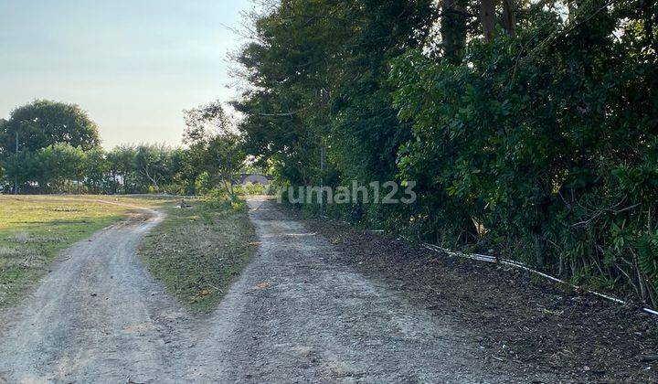 Tanah Super Langka Siap Bangun Dekat Pantai Balangan Jimbaran Bali, 350jt Are 1