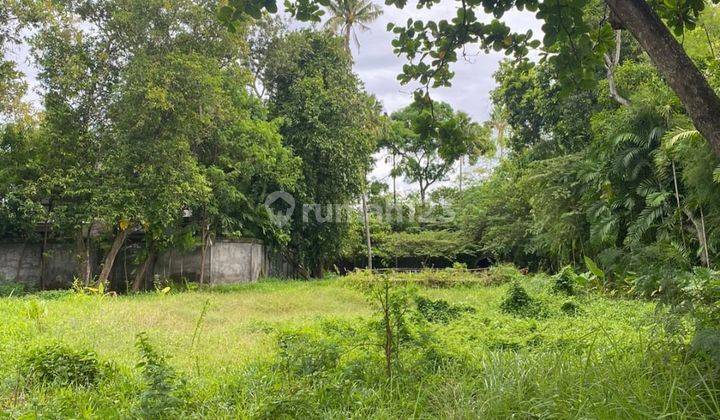 Commercial Land in Seminyak, Suitable for Restaurants and Villa Complexes  2