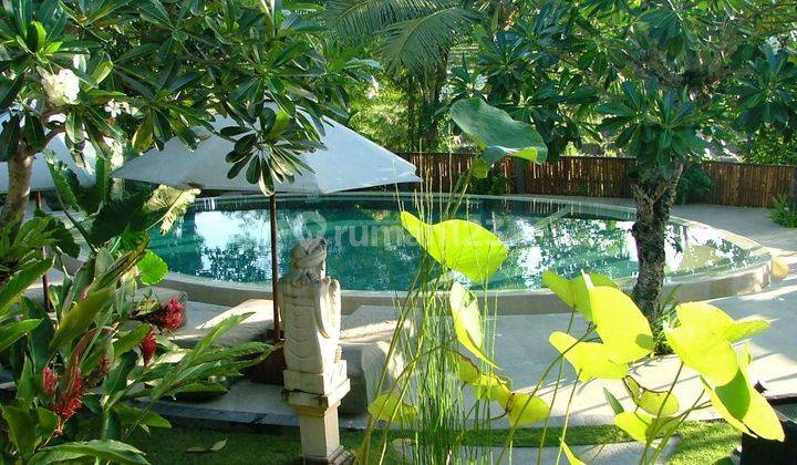 Under Price! Villa In the center of Canggu 10 Area, Fantastic View. 15M 2