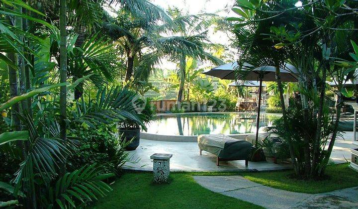 Under Price! Villa In the center of Canggu 10 Area, Fantastic View. 15M 1