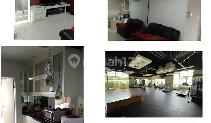 Sewa Apartemen Cosmo Mansion - Type 1 Bedroom Fully Furnished 1