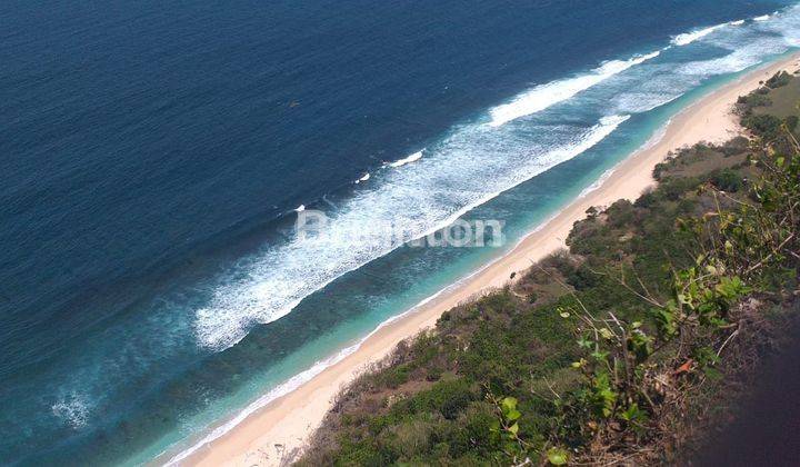 Land Next Bulgary Resort 80ha ( 800,000 m2) 8000 are on cliff facing to Ocean. The price of the axle is very cheap 1